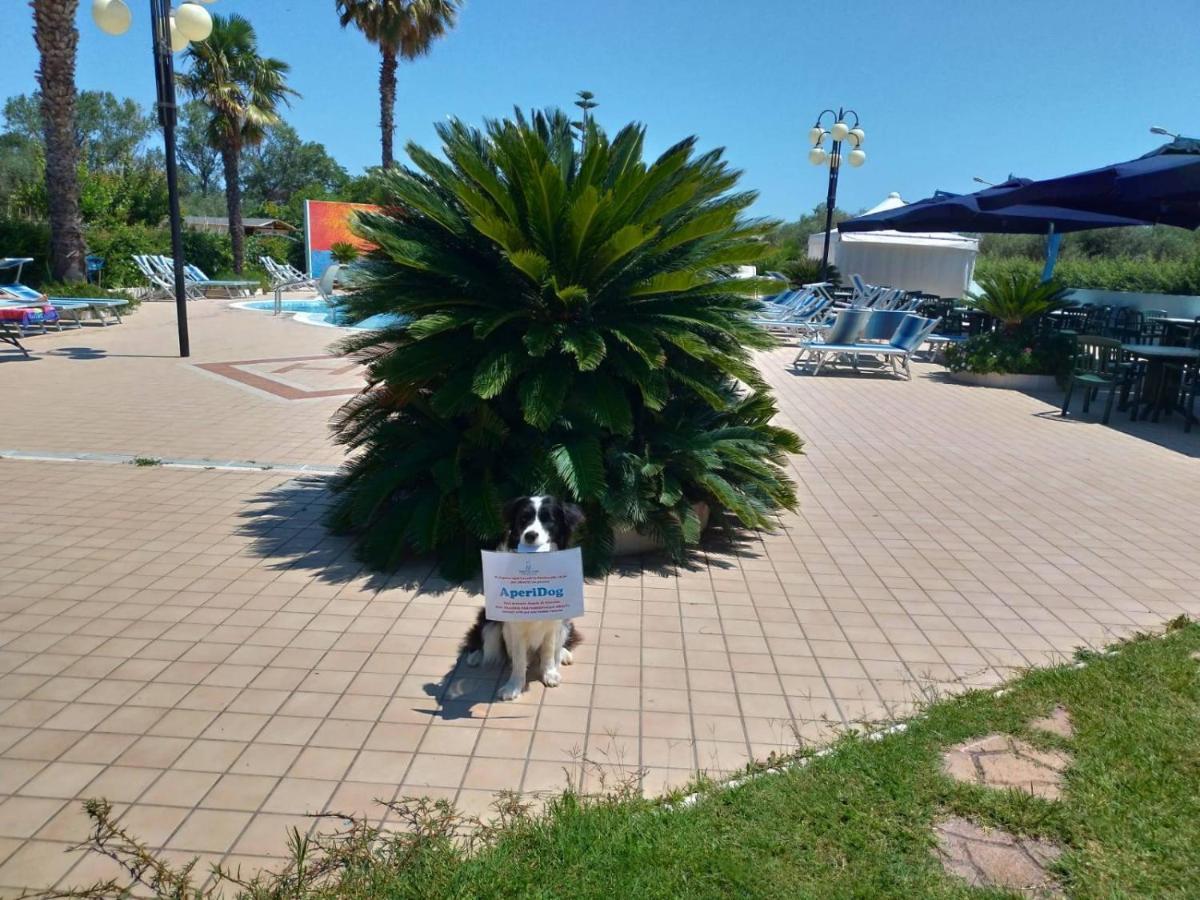 Hotel Marina Roseto Degli Abruzzi Dış mekan fotoğraf