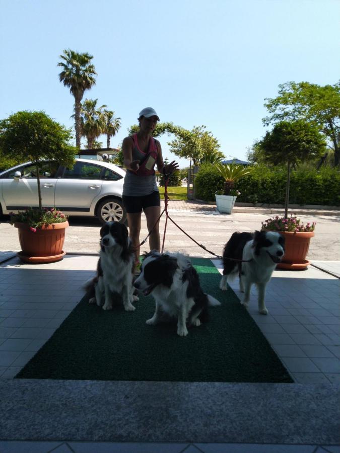 Hotel Marina Roseto Degli Abruzzi Dış mekan fotoğraf